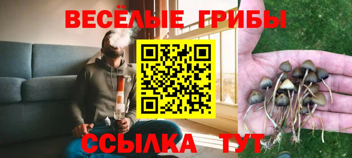 Галлюциногенные грибы Cubensis  Галлюциногенные грибы Cubensis  Вход с VPN  Анжеро-Судженск 